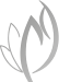 favicon-150×150-removebg-preview favicon-150x150-removebg-preview