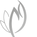 favicon-150×150-removebg-preview favicon-150x150-removebg-preview